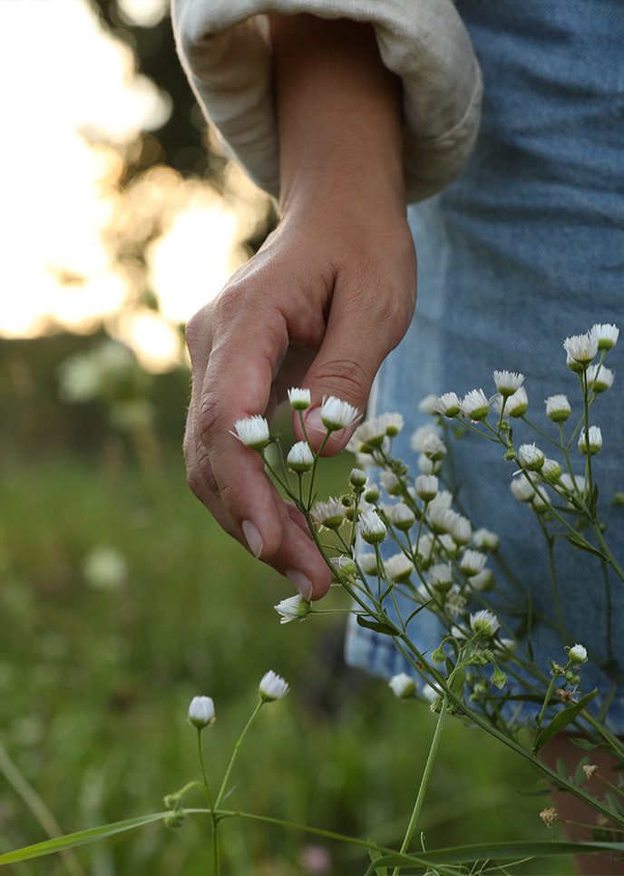 Foto di fiori