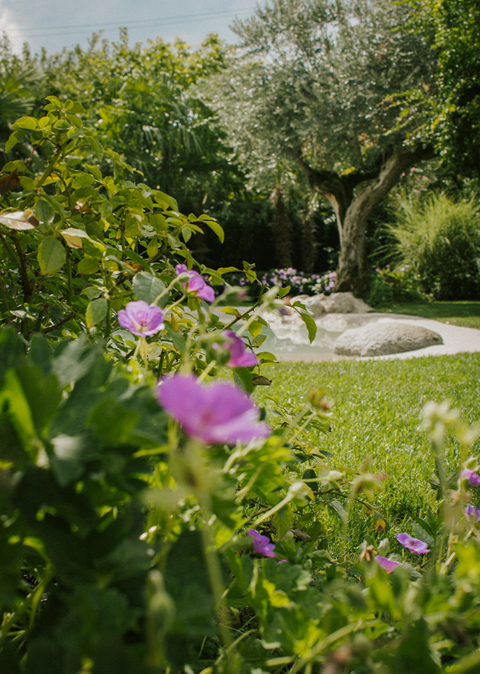 Foto di un giardino