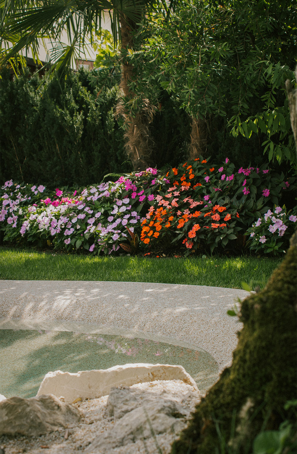Foto dei fiori in giardino