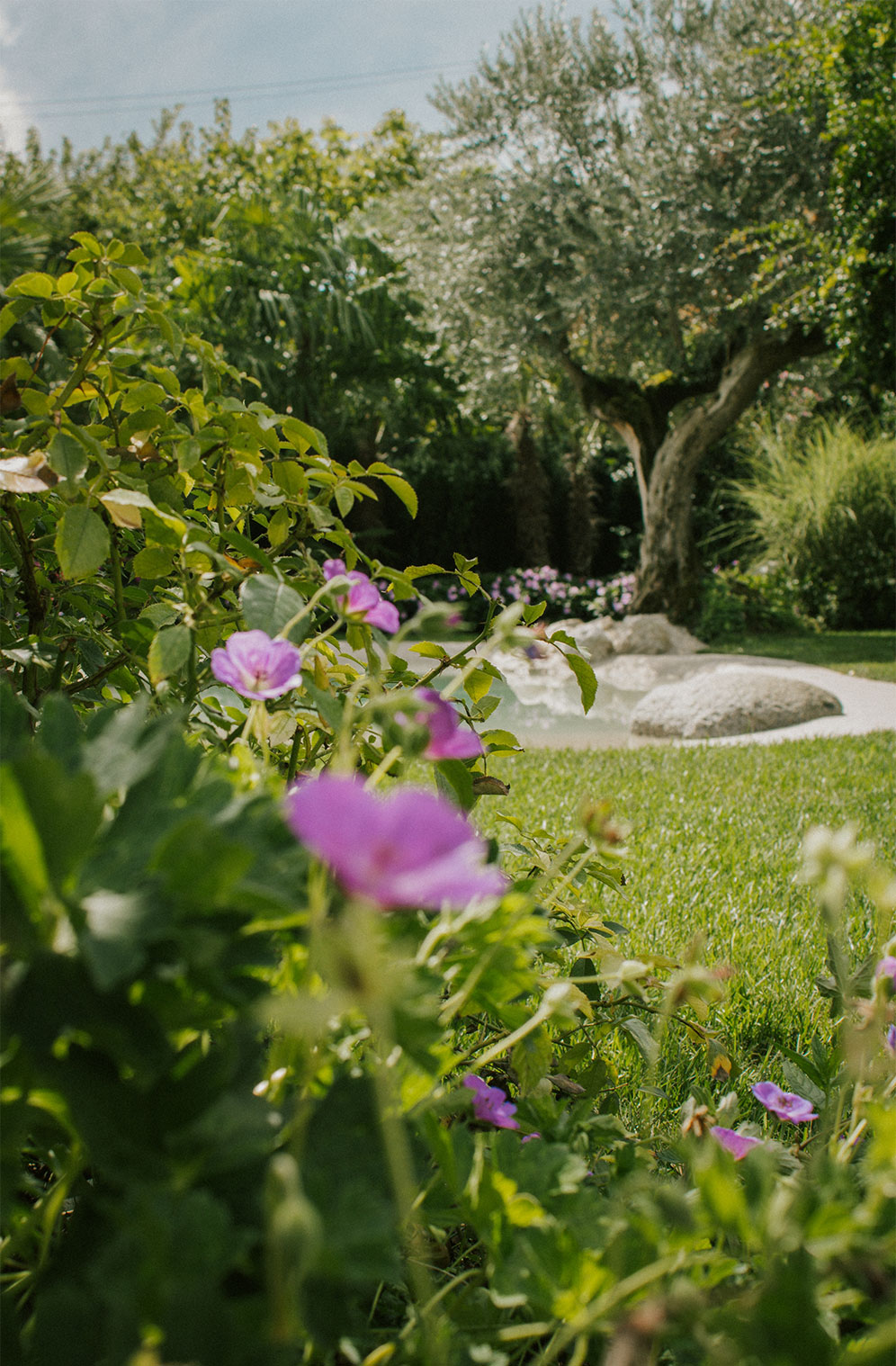 Foto del giardino