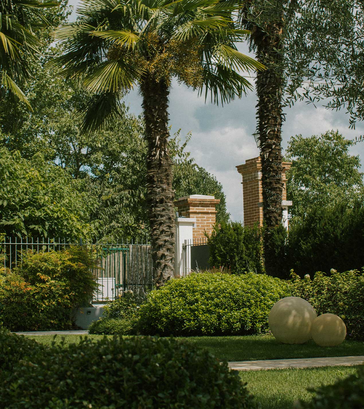 Foto del giardino