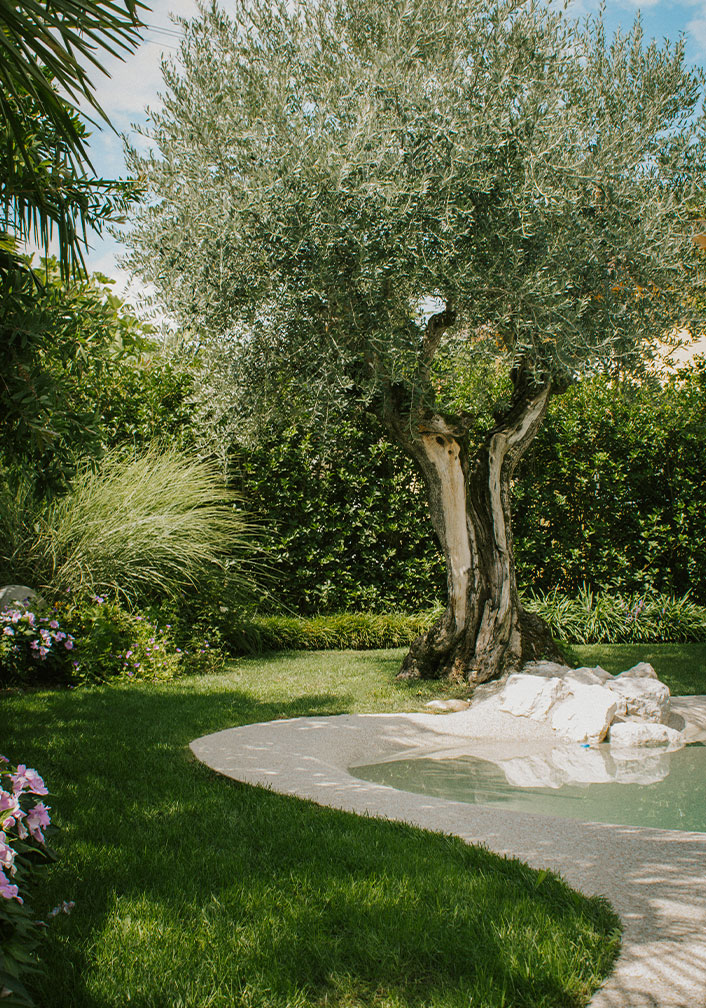 Foto del giardino