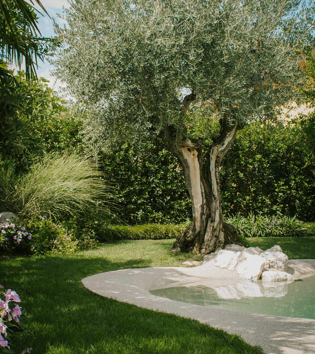 Foto del giardino