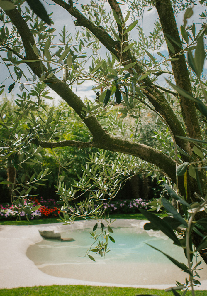 Foto del laghetto in giardino