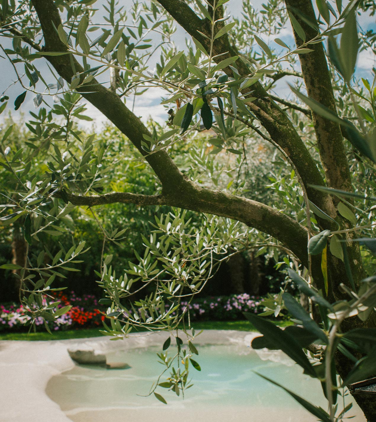 Foto del laghetto in giardino