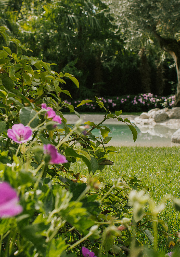 Foto del giardino