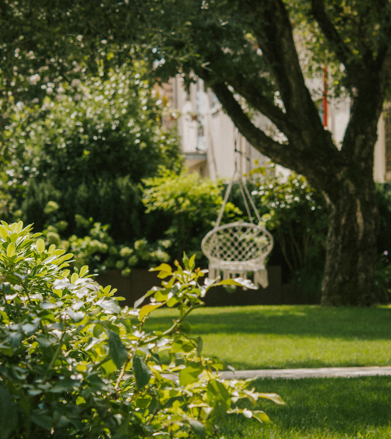 Foto del giardino