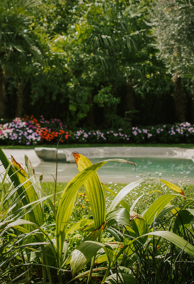 Foto del laghetto in giardino