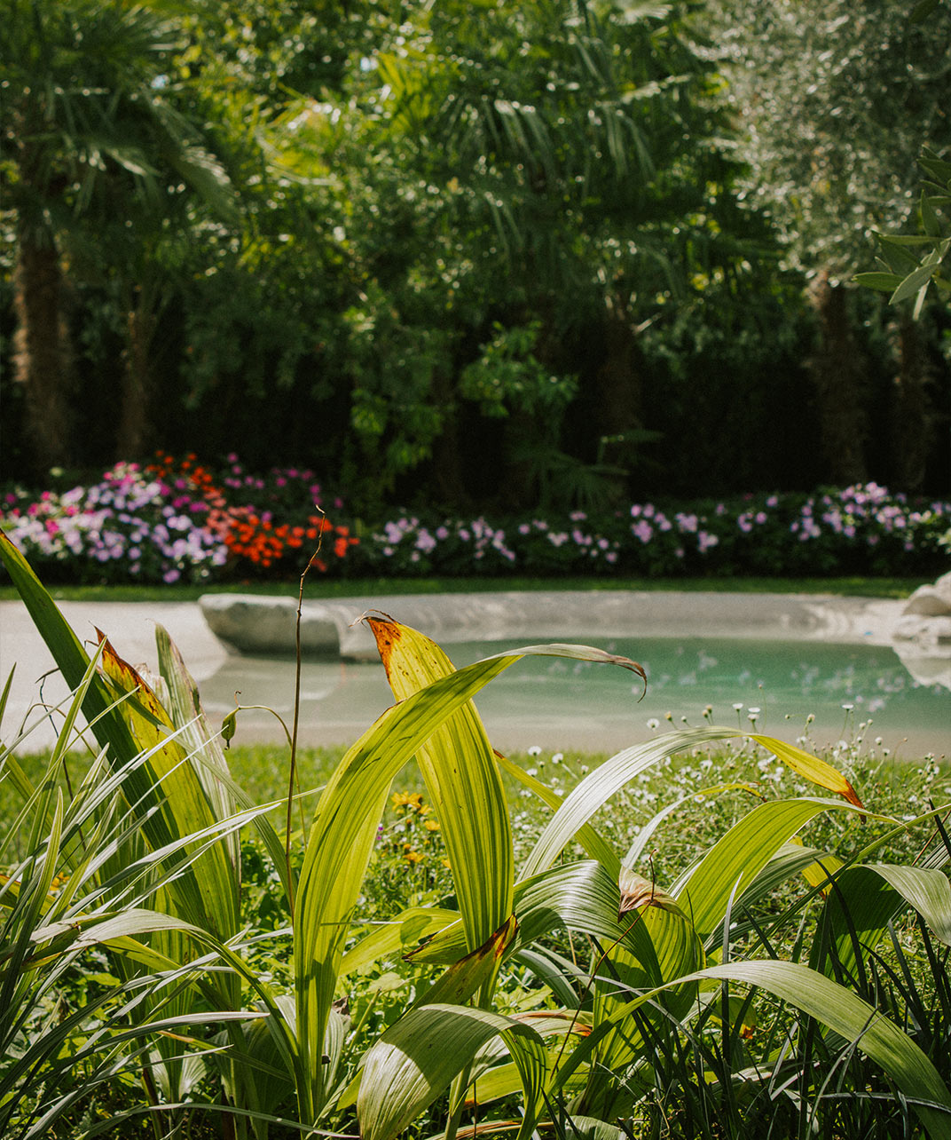 Foto del laghetto in giardino