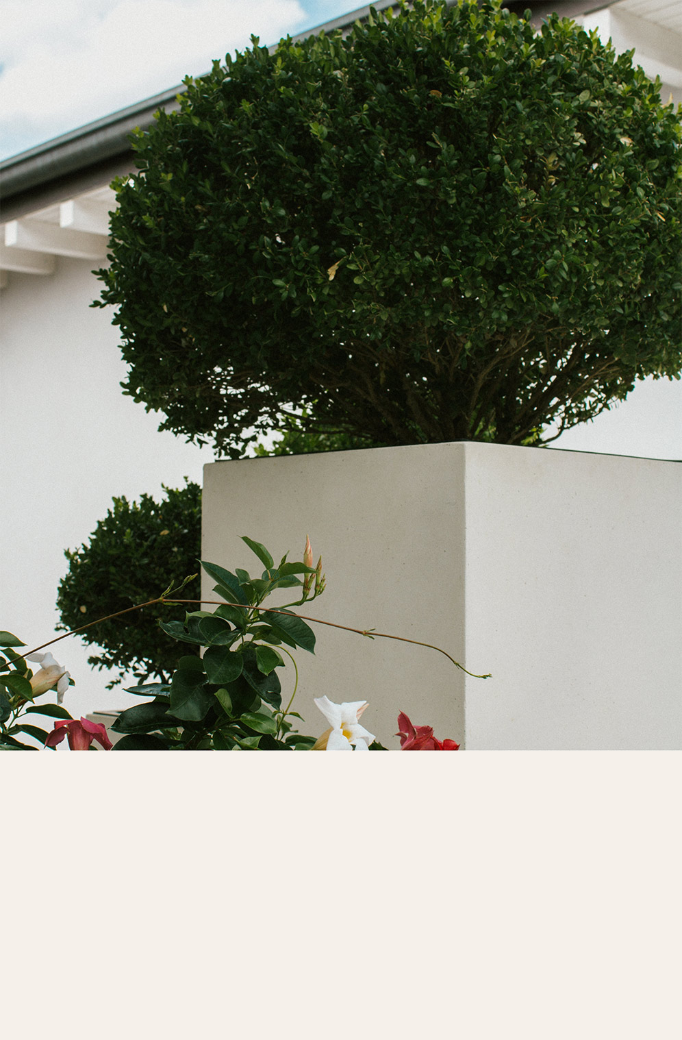 Foto del giardino