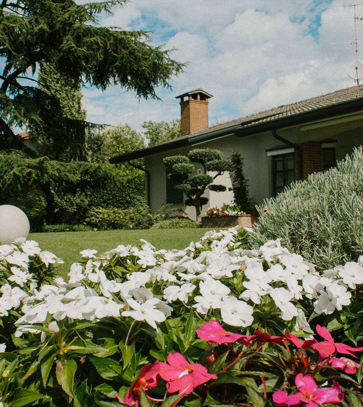 Foto del giardino