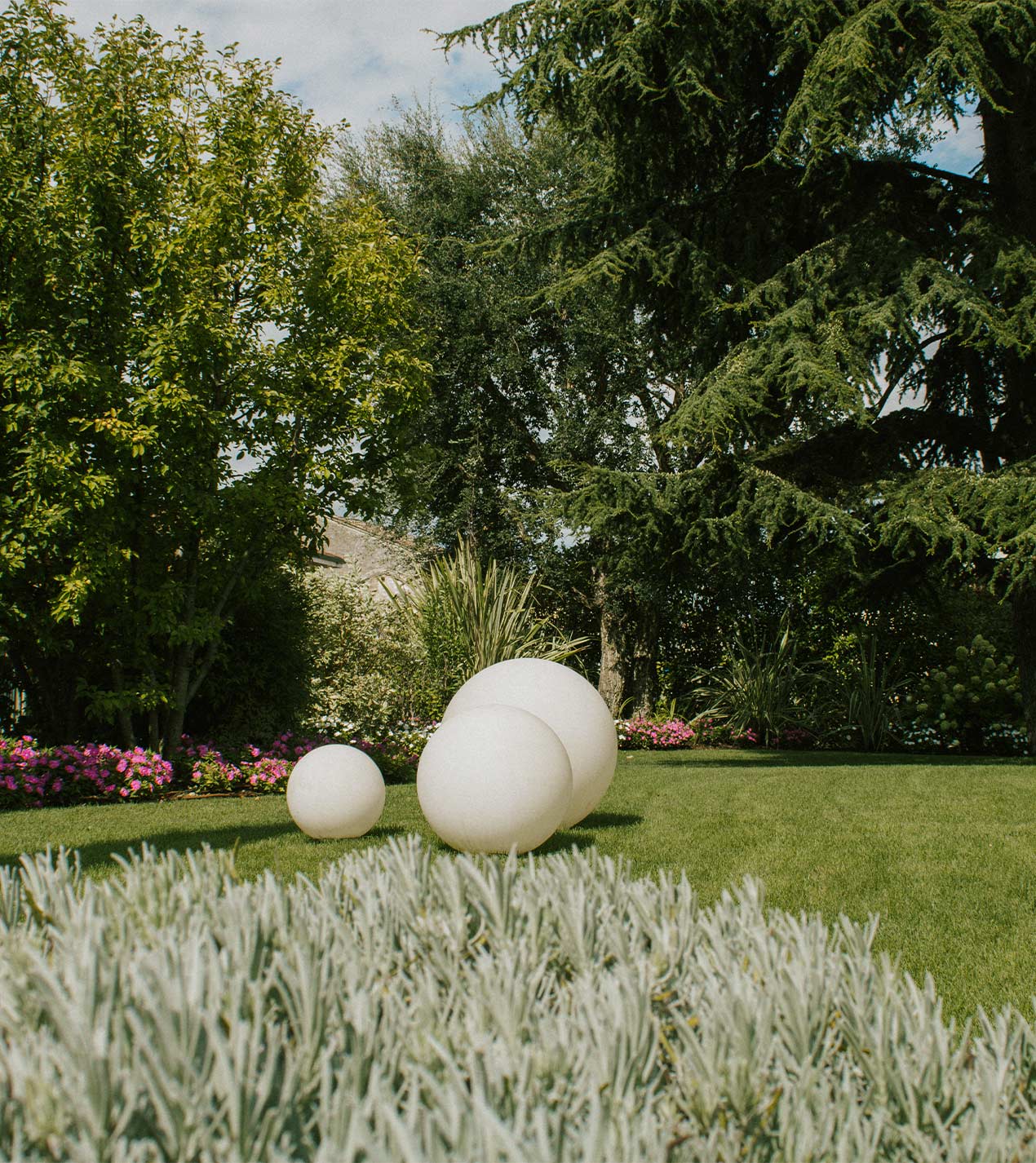 Foto del giardino