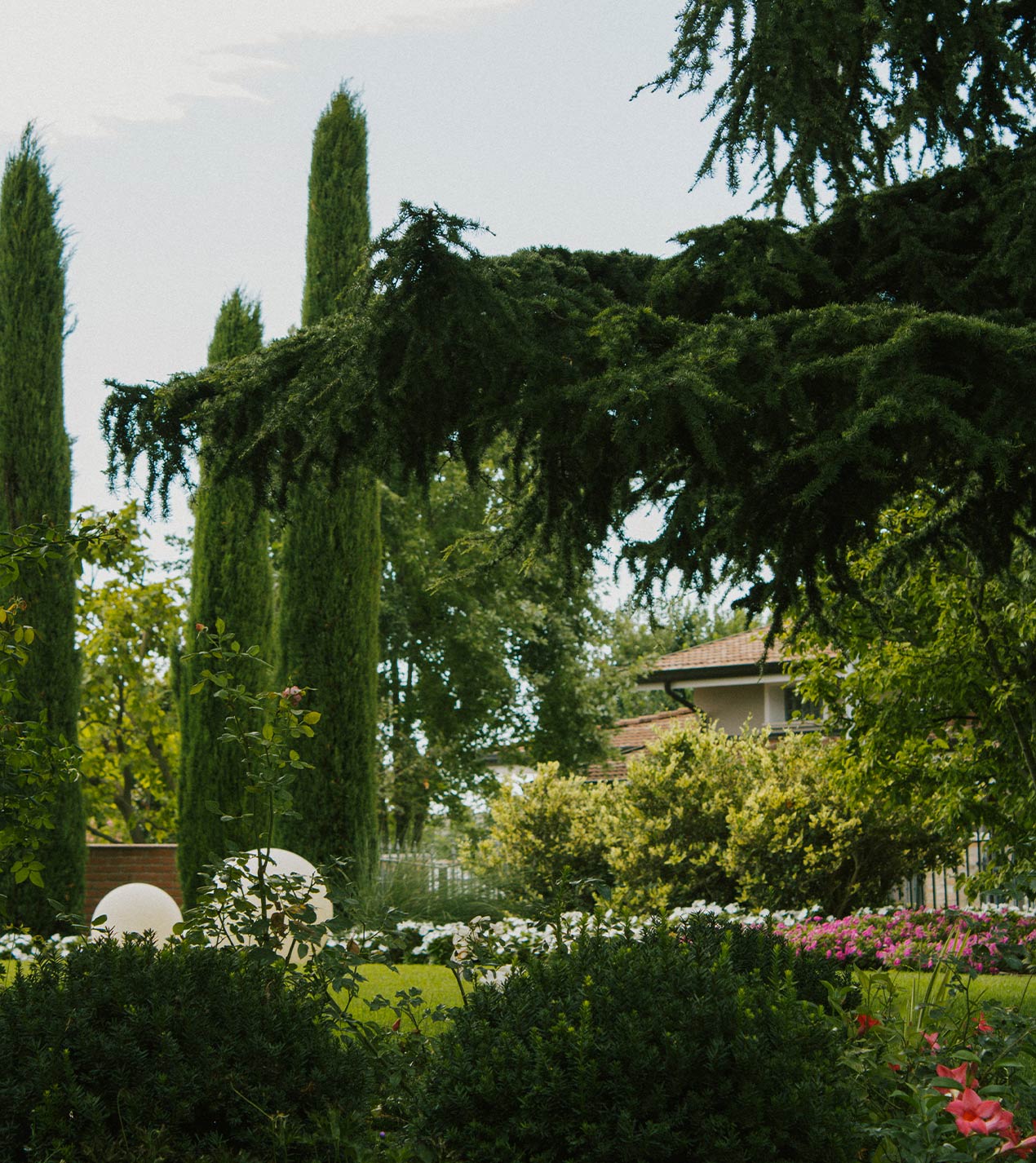 Foto del giardino