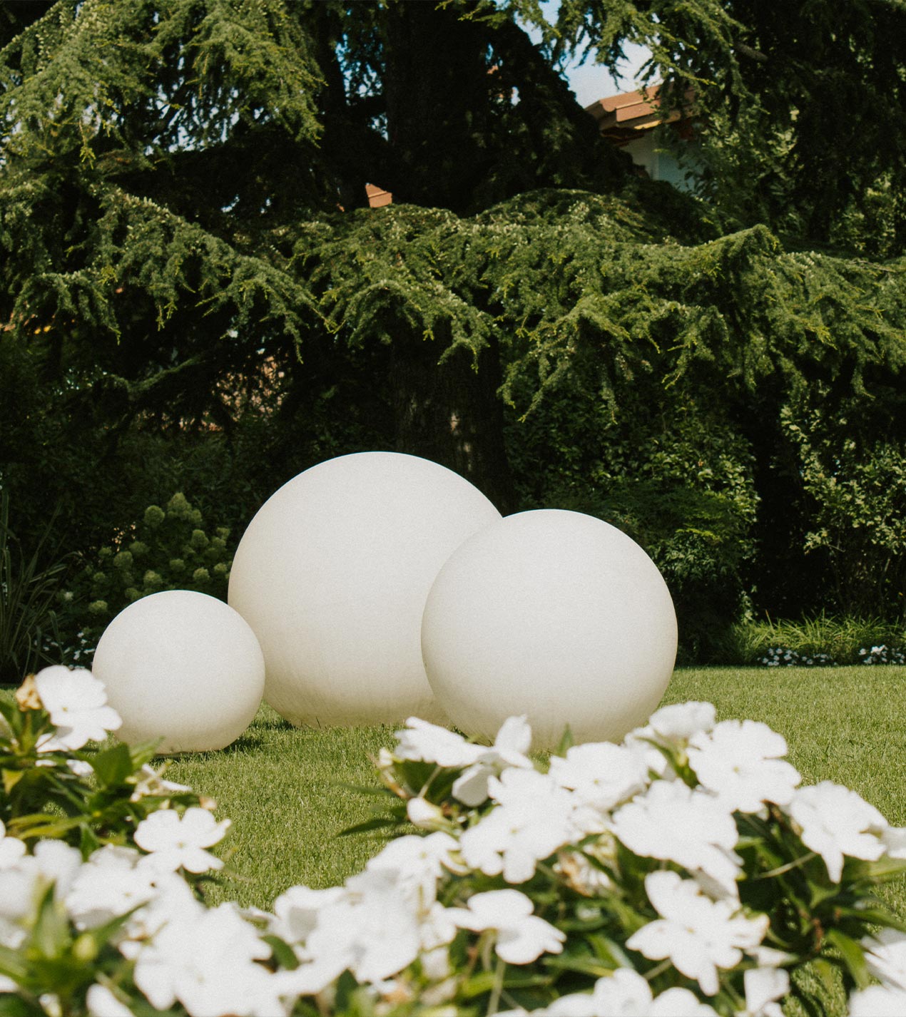 Foto del giardino