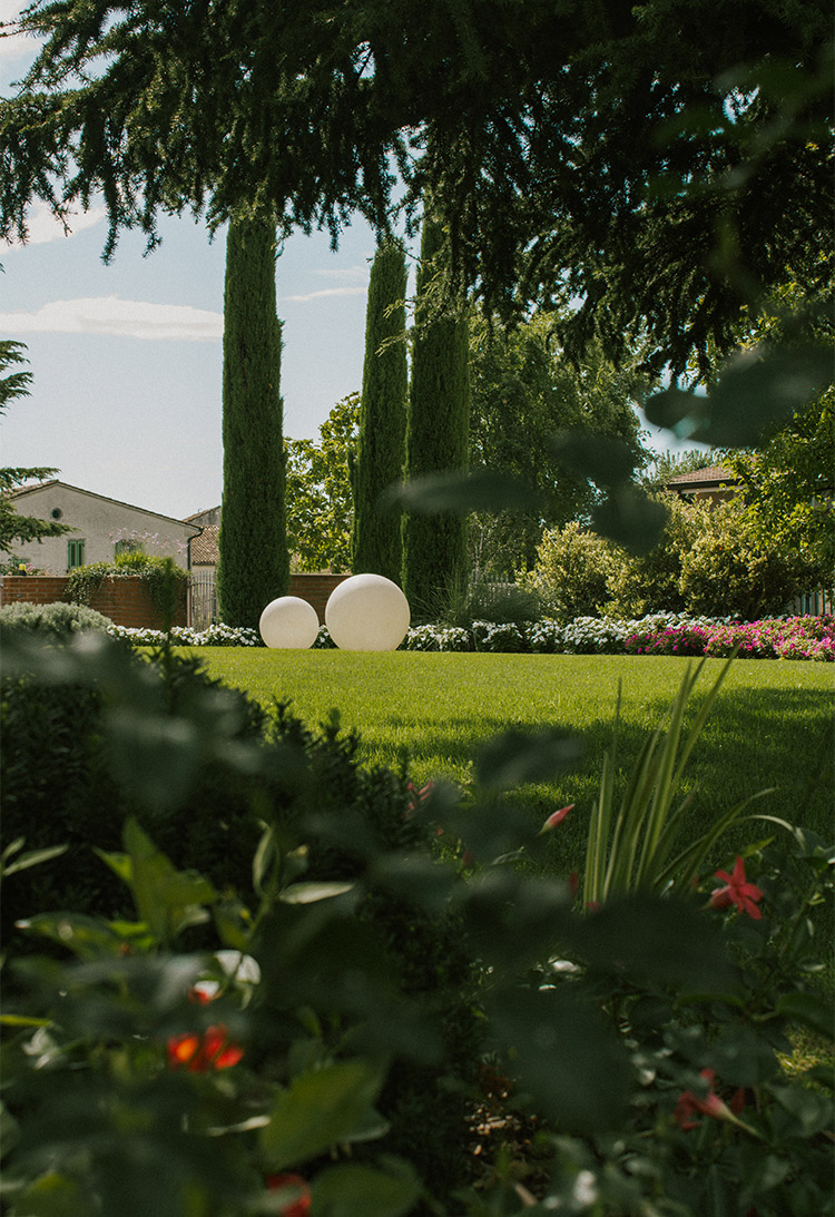 Foto del giardino