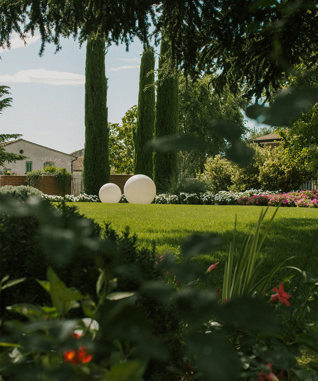 Foto del giardino