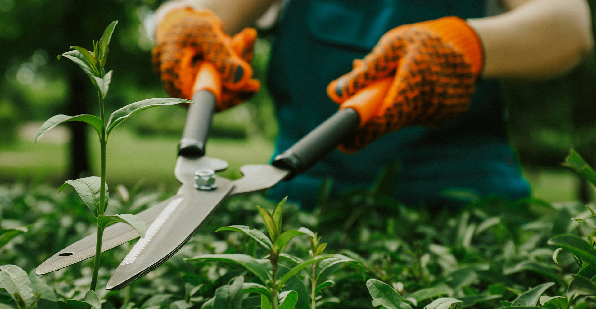 Persona che fa manutenzione al giardino