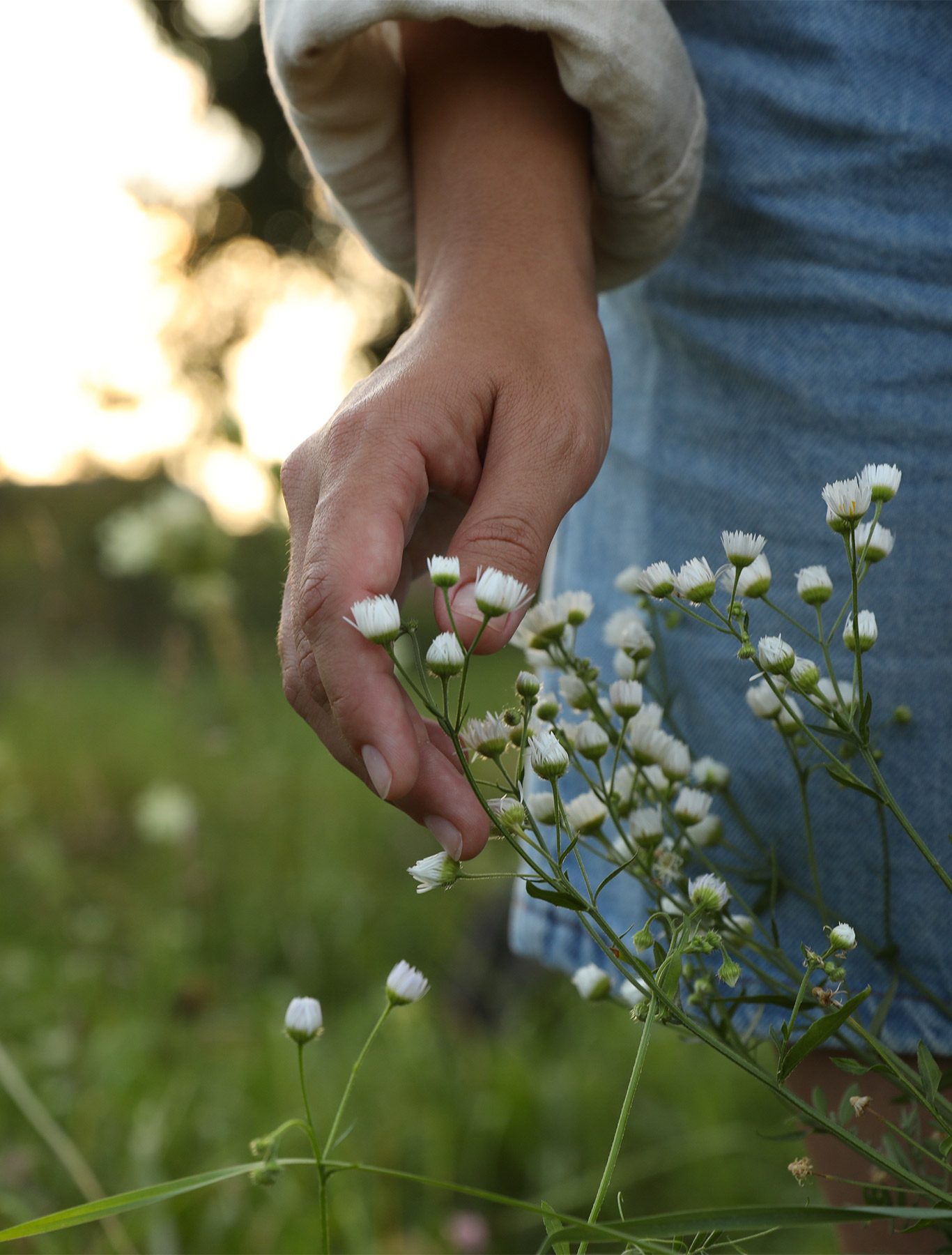 Ragazza che porta in mano dei fiori