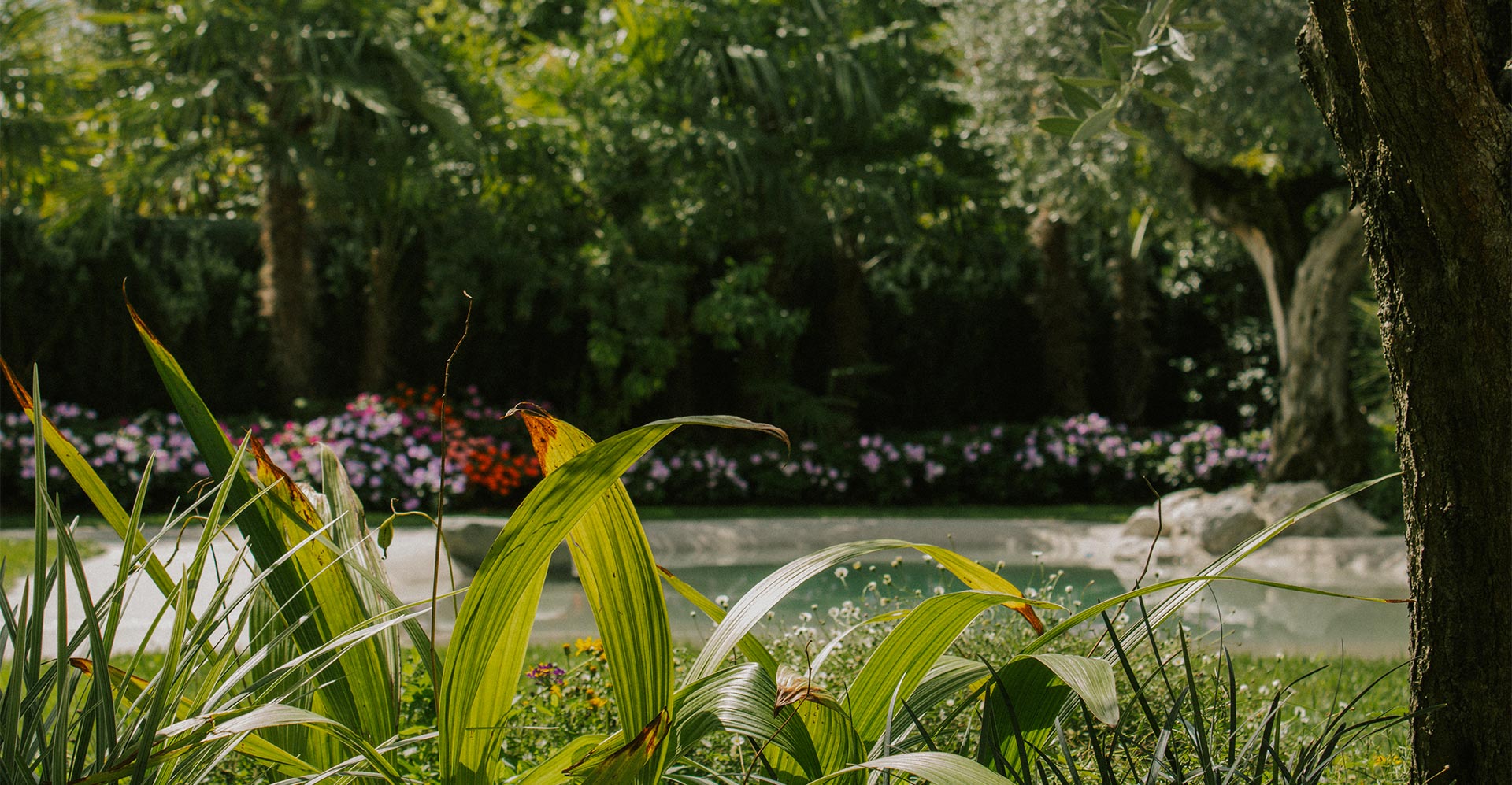 Foto giardino