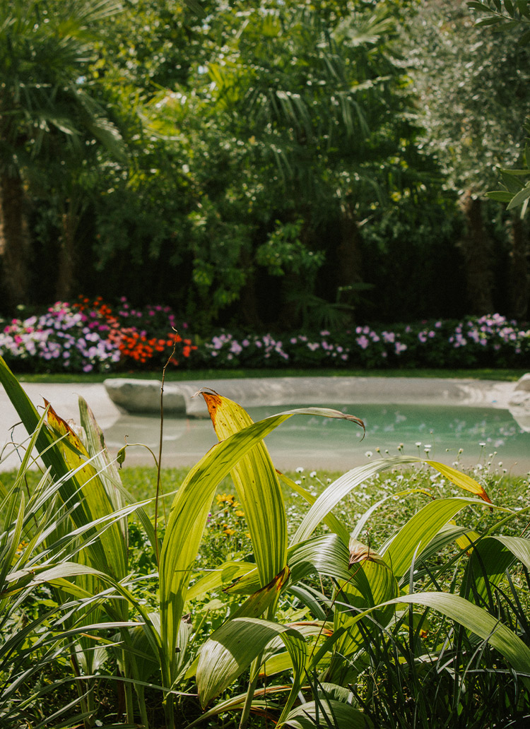 Foto giardino con laghetto